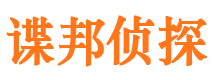 沙坡头市侦探